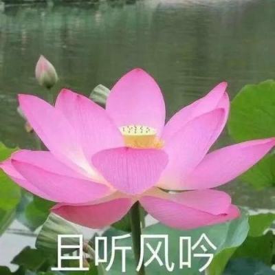 广东揭阳推动农村党建整片推进整县提质
